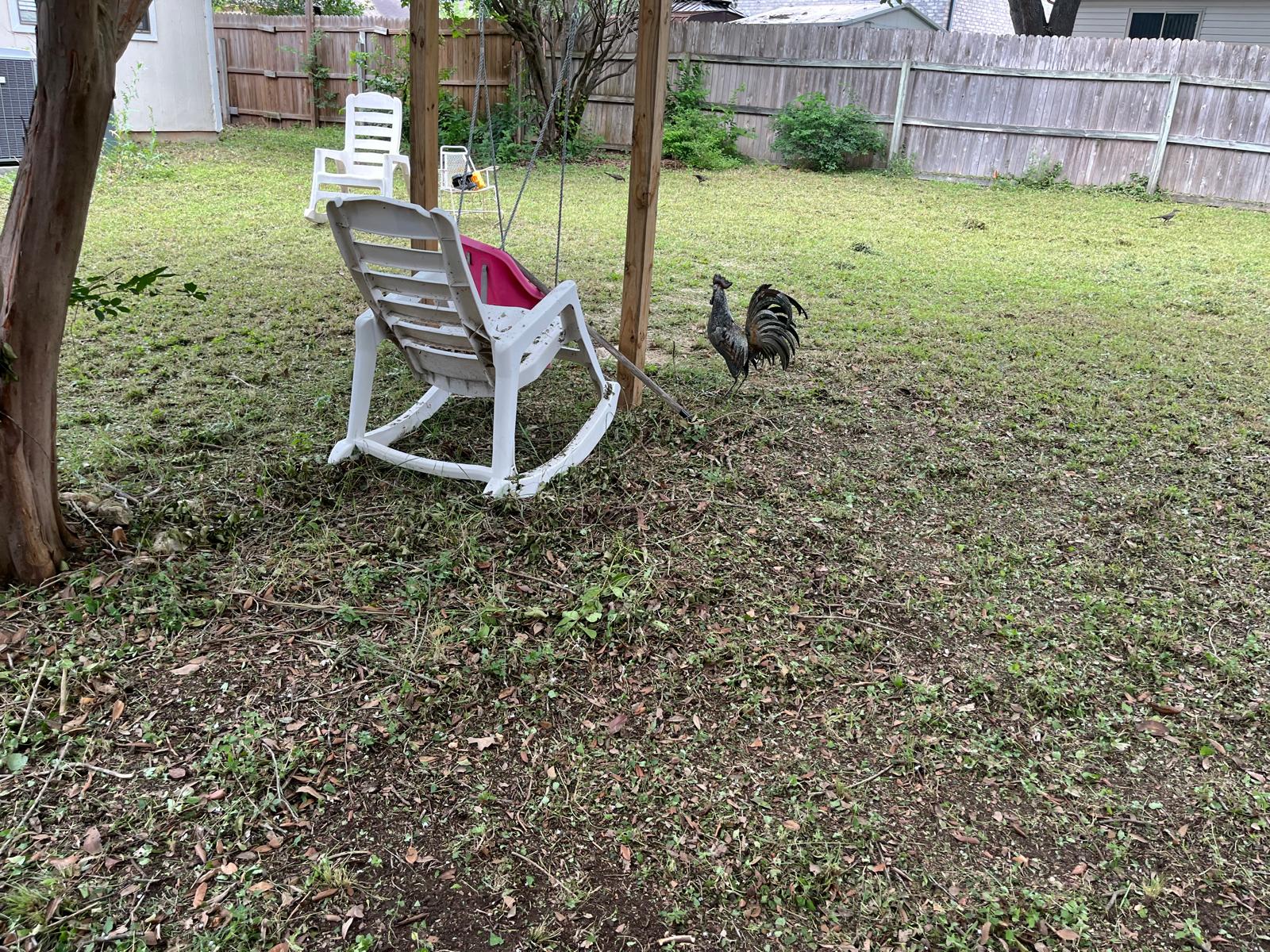 Swing Area Cleanup after