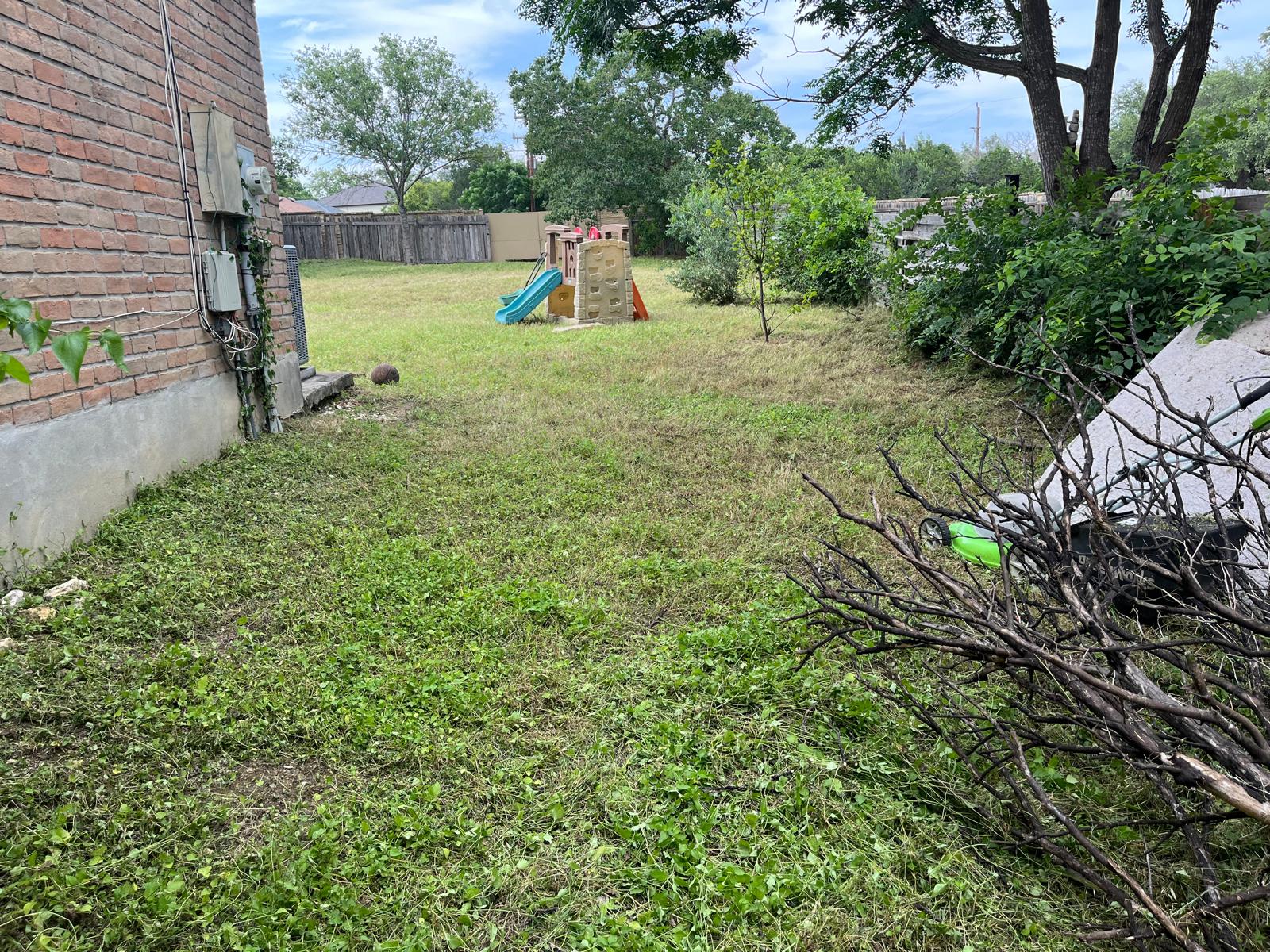 Side Yard Cleanup after