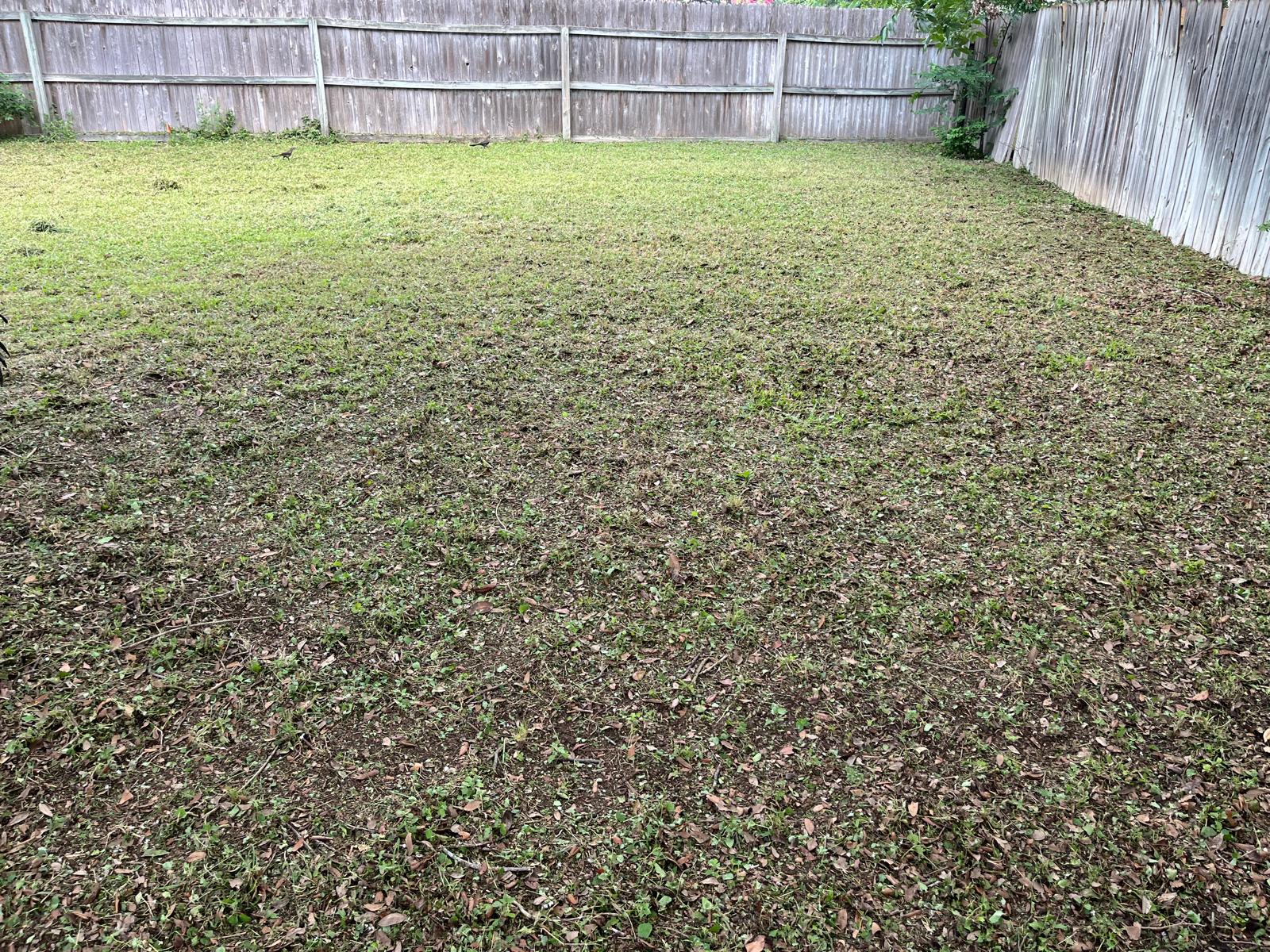 Fence Corner Cleanup after