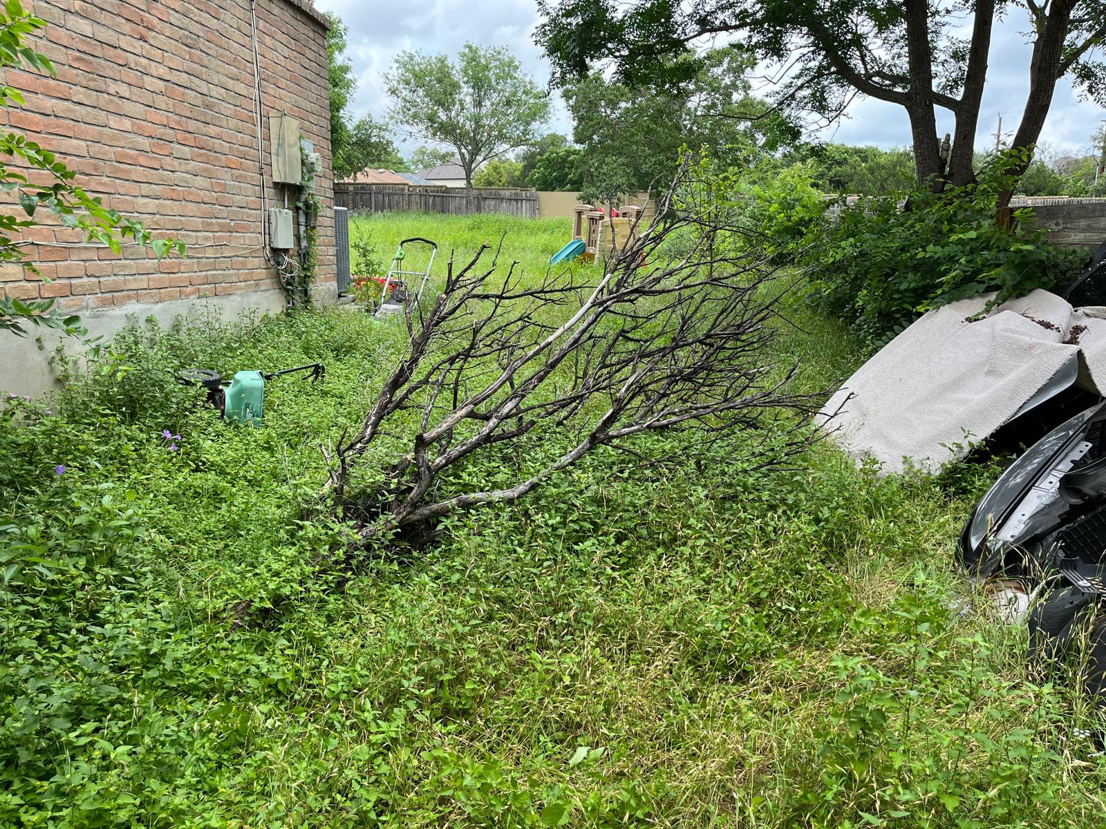 Side Yard Cleanup before