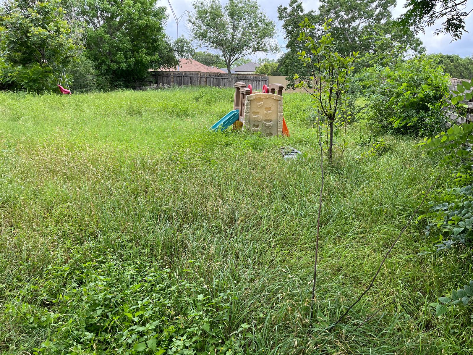 Backyard Playset Lawn before
